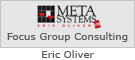 MetaSystems - Focus Group Consulting
